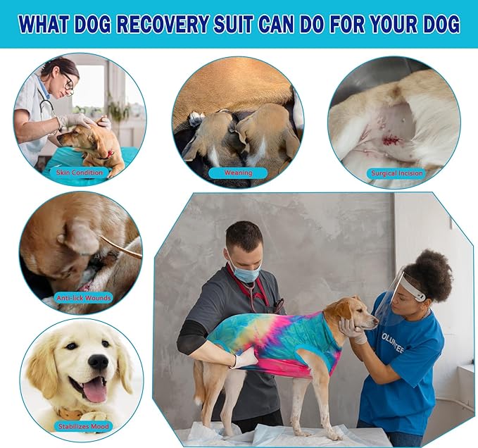 Dog Surgery Recovery Suit, Surgical Recovery Suit for Dog Male Female, Spay Neuter Shirt, Cone Alternative Surgical Onesie, Tie-dye Green, M