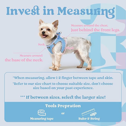 rabbitgoo Small Dog Harness, Step-in Soft Mesh Puppy Vest with Safety Buckle, Breathable Reflective Pet Harness for Small Sized Dogs, Blue & Plaid Trim XS