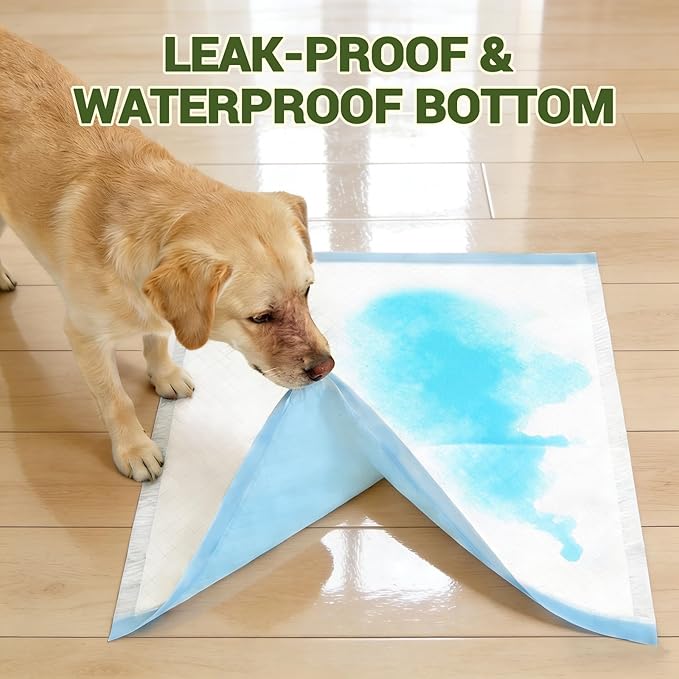 IMMCUTE 100 Count Premium Puppy Pads, 22"x23" Dog Pee Pads – Ultra-Soft Heat-Sealed, 6-Layer Leak-Proof & Super Absorbent Potty Training Pads for Dogs, Cats, Pets | Crate Training & Indoor Use, Blue