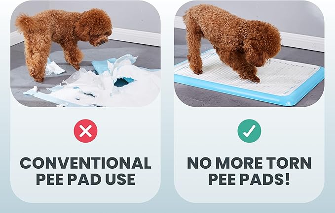 Pet Awesome Dog Potty Tray/Puppy Pee Pad Holder 25”x20” Indoor Wee Training for Small and Medium Dogs