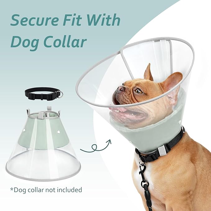 Dog Cone Collar with Snap-on Detachable Soft Liner, Lightweight Transparent Elizabethan Alternative to Stop Licking, for Spay Neuter Surgery Recovery, for Medium Large Small Dogs (Green,L)