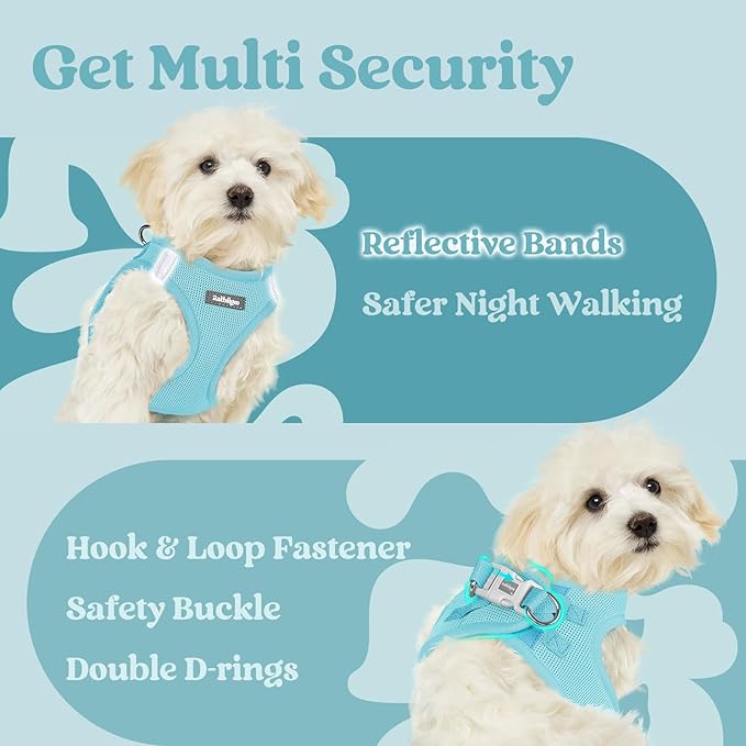 rabbitgoo Small Dog Harness, Step-in Soft Mesh Puppy Vest with Safety Buckle, Breathable Reflective Pet Harness for Small Medium Dogs, Mint Blue L
