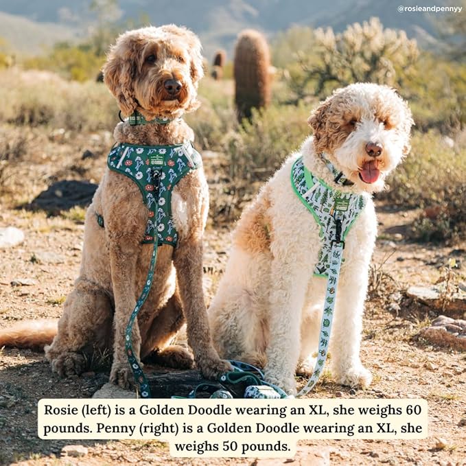 Lucy & Co. x Parks Project Feel the Earth Breath Dog Leash, Durable Matching Dog Lead with Heavy Duty Hardware, Small