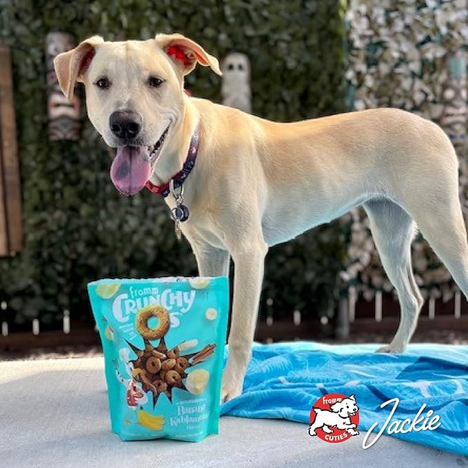 Fromm Crunchy Os Bacon Blasters Flavor Dog Treats - Premium Crunchy Dog Treats - Bacon Recipe - 26 oz