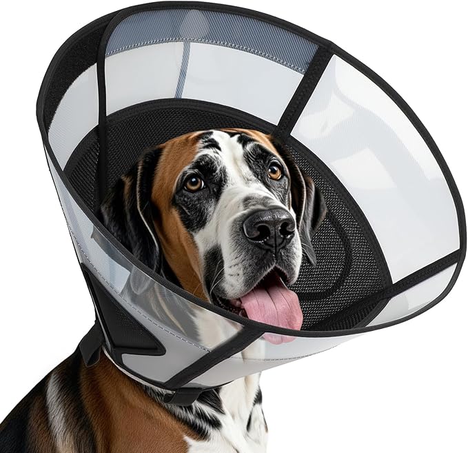 Soft Dog Cone Collar for Large Dogs, Mesh Windows Transparent E Collar for Dog, Anti-Bite Lick Wound Healing After Surgery Neuter Safety Practical Comfy Plastic Cone (Black, XXL)
