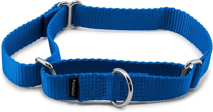 PetSafe Adjustable Martingale Collar - Only Tightens When Dogs Pull, Prevents Slipping Out - Helps with Strong Pullers, Increased Control - Alternative to Choke Collar - 3/4", Medium, Royal Blue