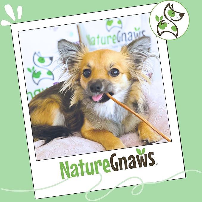Nature Gnaws Super Skinny Bully Sticks for Small Dogs 5-6" (15 Count) - Long Lasting for Light Chewers and Puppies - Extra Thin Natural Beef Dog Chew Treats