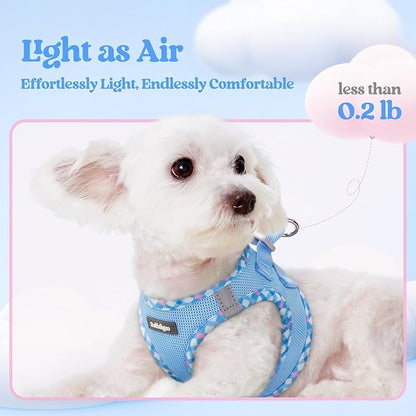 rabbitgoo Dog Harness Small Sized and Leash Set, Step in Soft Light Puppy Vest, Breathable Mesh Pet Harness, Reflective for Safe Easy Walking, Blue & Plaid Trim M