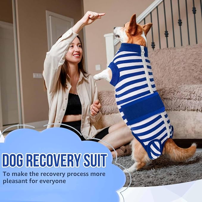 Lukovee Recovery Suit for Dogs, Zipper On Recovery Suit for Female Male Dog, Onesie Abdominal Wounds Cone E-Collar Alternative Prevent Licking Spay Recovery Suit (L, 1BL)