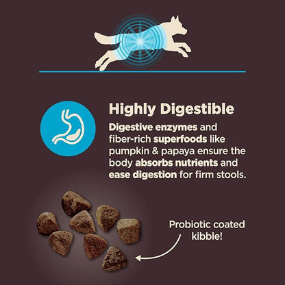 Wellness CORE Digestive Health Adult Dry Dog Food, Wholesome Grain Kibble, Sensitive Stomach, Natural, High Protein, Chicken Free, Whitefish and Brown Rice Recipe, 22 lb Bag