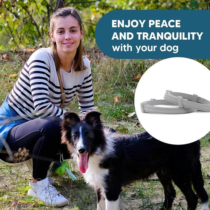 NJKPUYT Flea Collar for Dogs, Tick and Flea Collar for Dogs, Dog Tick Collar, Dog Flea Collars, Tick Collar for Dogs, Flea Collar for Large Dogs, Lasts Up to 8 Months, Family Friendly – 2 Pack