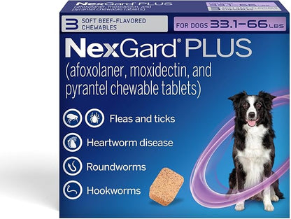 NexGard Plus (afoxolaner, moxidectin, and pyrantel) Flea and Tick Protection & Heartworm Preventive for Dogs Soft Beef Flavored Chewables, 33.1-66 lbs. (Purple) 3 Chews (3 Month Supply)