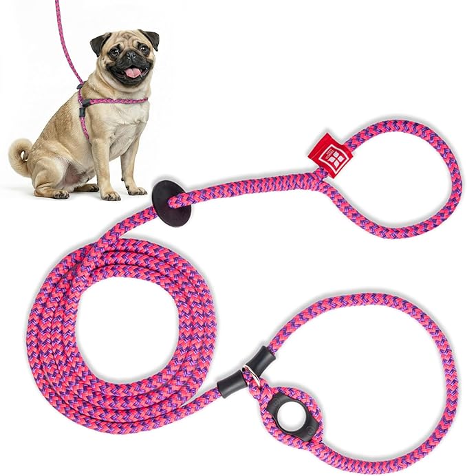 Harness Lead No Pull Dog Harness and Leash Set, Anti Pull Dog Harness, One-Piece Cushioned Rope Safely Prevents Escaping and Pulling (Small/Medium, Pink/Purple)