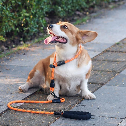 Nylon Dog Training Collar with Slidable Stopper - No Pull, Martingale Collar for Small to Large Dogs, Orange