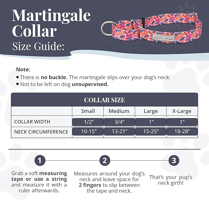 Lucky Love Dog Martingale Dog Collar - Adjustable, No-Slip, Durable, & Soft Webbing Collar for Male and Female Dogs Ideal for Training & Walking - Rosie, Large