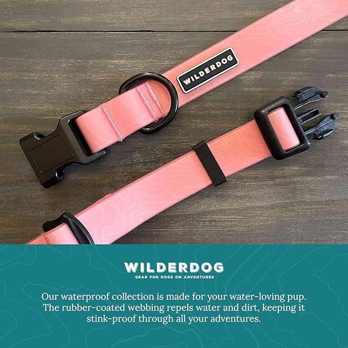 Wilderdog Waterproof Dog Collar - Repels Water & Dirt - Small 11"-15" - Guava