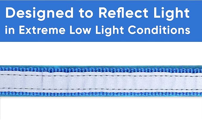 Pawtitas Lumberjack Padded Martingale Collar for Dogs | Soft Neoprene Dog Collar for Your pet's Comfort Made with Reflective Band for Maximum Visibility | Fits Small and Large Pets - XXS Blue