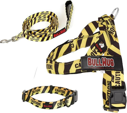 BULLHUG 6 FT Bulldog Leash with Padded Handle. Perfect for Bulldogs, French Bulldogs, Pugs & All Breeds. Leashes for Walking, Training Lead for Bulldogs (Rainbow TIE DYE)