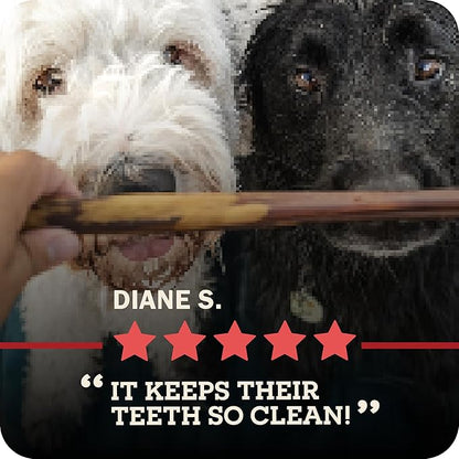 Redbarn Pet Products All Natural 8"-12" Braided Bully Sticks for Medium & Large Dogs - Healthy Long Lasting Beef Chews Variety Party Pack - Single Ingredient Low Odor Rawhide Free - 1 lb Bag