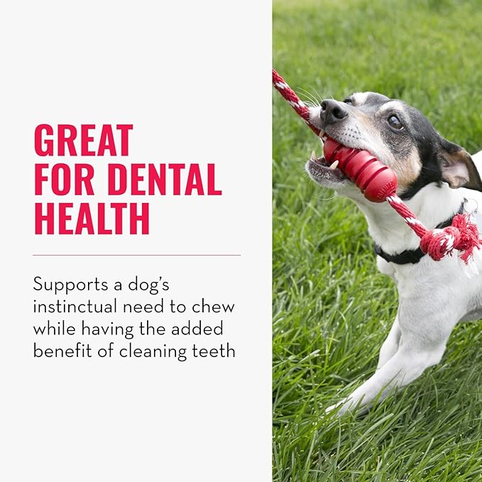 KONG Dental with Rope- for Dog Dental Care - Stuffable Chew Toy - Provides Chewing Outlet & Satisfies Instinctual Needs - Cleans Teeth & Gums - Made with Durable Natural Rubber - for Medium Dogs