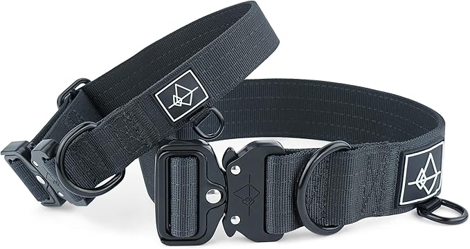 Made to ROAM Premium Dog Collar - Adjustable Heavy Duty Nylon Collar with Quick-Release Metal Buckle (New York Afterlight, Classic Size 3)