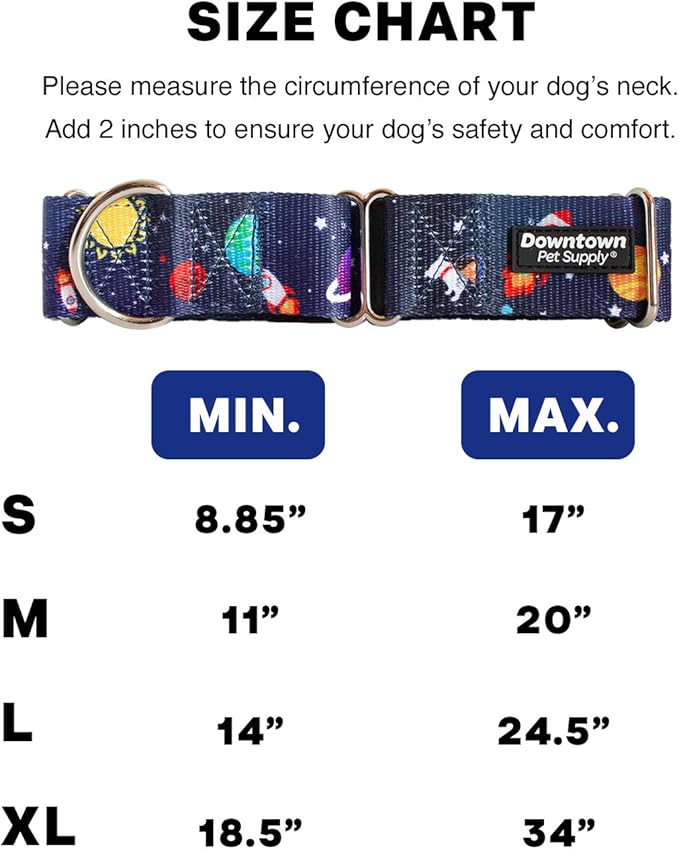 Downtown Pet Supply - Martingale Collar for Dogs - Dog Training Collar - Big, Wide & Thick Dog Collar - Escape-Proof, Weatherproof, Durable and Comfortable - Space - Large Dog Collar