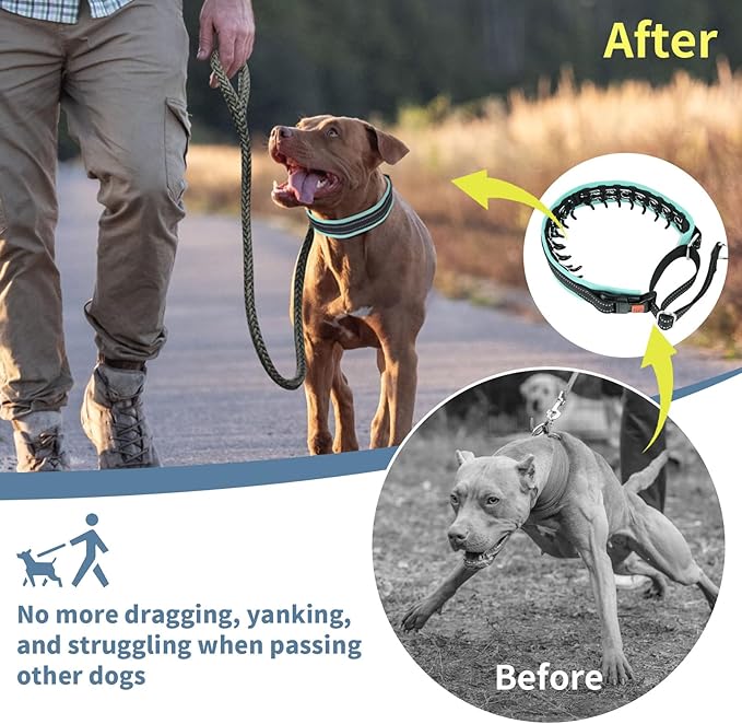 Mayerzon Martingale No Pull Collar for Medium Large Dogs, Patented Anti Pull Dog Collar with Buckle for Walking Training, with Neoprene Padding and Reflective Stitching, Adjustable(Teal Trim, M)