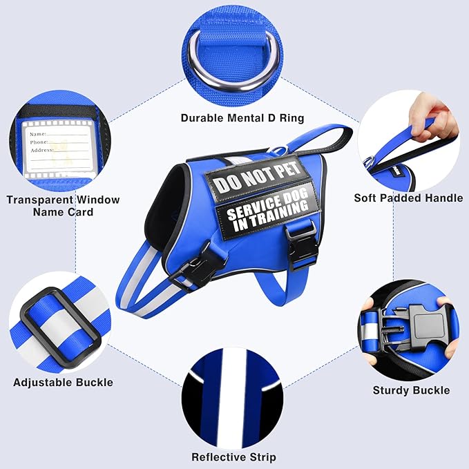 Service Dog Harness and Leash Set, Training Dog Vest with 10 Dog Patches, Emotional Support Therapy Dog Vest Harness for Small Medium Large and Extra Large Dogs(Blue, XL)