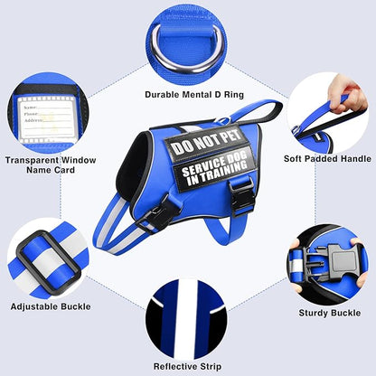 Service Dog Harness and Leash Set, Training Dog Vest with 10 Dog Patches, Emotional Support Therapy Dog Vest Harness for Small Medium Large and Extra Large Dogs(Blue, XS)