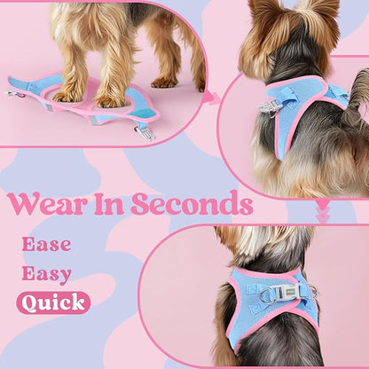 rabbitgoo Small Dog Harness, Step-in Soft Mesh Puppy Vest with Safety Buckle, Breathable Reflective Pet Harness for Small Sized Dogs, Blue & Light Pink XS