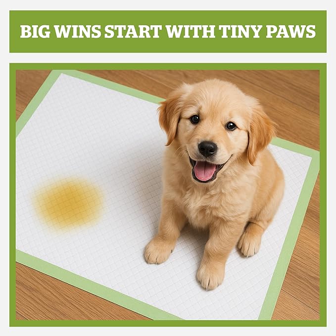 Pogi’s Dog Pads with Sticky Tabs – Large, Super Absorbent, Odor Blocking, 40-Count (24x24in)
