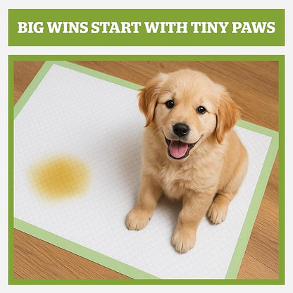 Pogi’s Dog Pads with Sticky Tabs – Large, Super Absorbent, Odor Blocking, 40-Count (24x24in)