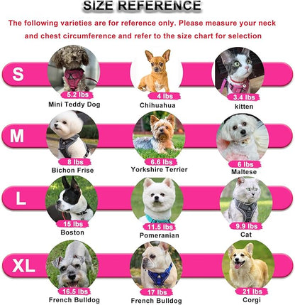 SOLMOONY Small Dog Harness,Soft Mesh Puppy Harness and Leash Set,No Escape Cat Harnesses for Training Walking,Reflective Adjustable Puppy Vest for Small Medium Dogs, Cats (Turquoise, L)