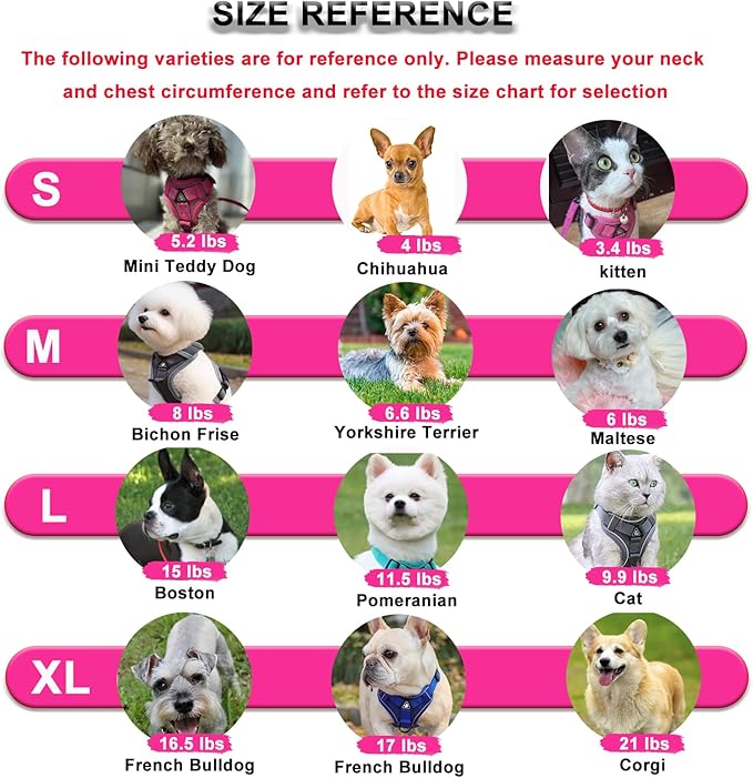 SOLMOONY Small Dog Harness,Soft Mesh Puppy Harness and Leash Set,No Escape Cat Harnesses for Training Walking,Reflective Adjustable Puppy Vest for Small Medium Dogs, Cats (Brown, L)