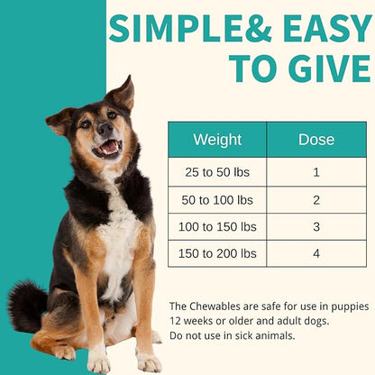 Pyrantel Pamoate and Praziquantel De-wormer Tablet for Medium and Large Dogs, Chewable Formula