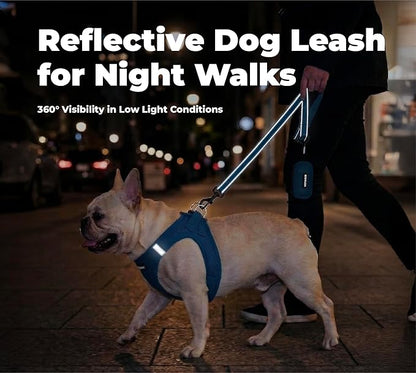 Best Pet Supplies Voyager Reflective Dog Leash or Collar with Neoprene Handle, for Small, Medium, and Large Breed Puppies, Cute and Heavy Duty for Walking, Running and Training - Royal Blue (Leash), M