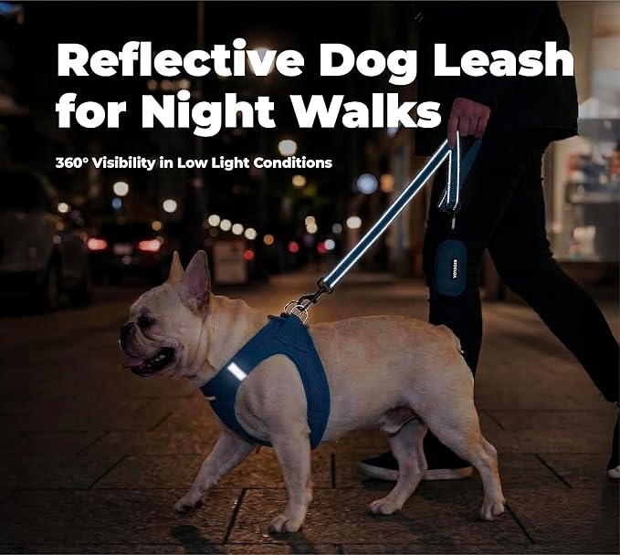 Best Pet Supplies Voyager Reflective Dog Leash or Collar with Neoprene Handle, for Small, Medium, and Large Breed Puppies, Cute and Heavy Duty for Walking, Running and Training - Royal Blue (Leash), L
