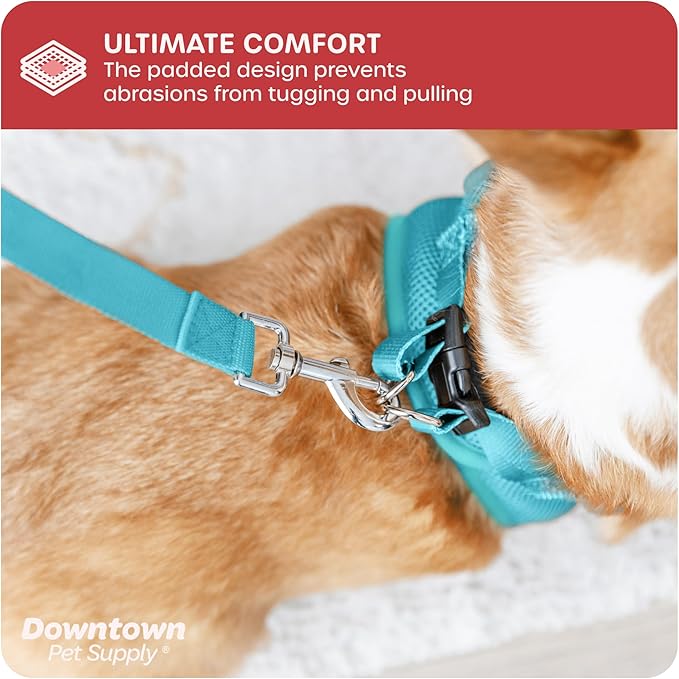 Downtown Pet Supply Step-in Dog Harness – No Pull, Adjustable Padded Mesh with Reflective Trim, Secure Buckle Strap – Comfortable & Breathable Small Dog Harness, Small, Light Blue