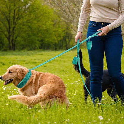 Reflective Dog Collar Leash Set, Adjustable Soft Dog Collar Leash with Poop Bag Holder Dispenser for Small Medium Large Dogs, Multiple Color Available, Teal, Large