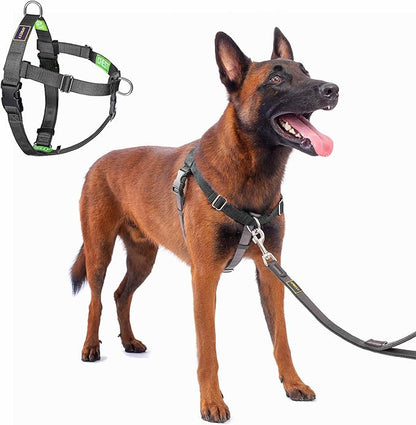 No Pull Dog Harness Freedom Walking, Easy Walk with Front and Back Stainless D-Rings, Sewn-in Instructions Tags for Easy Use, for Medium/Large Dogs Weight 40-60 lbs (Black, Med/Large)