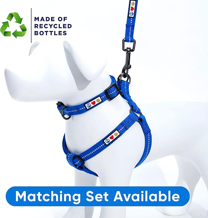 Pawtitas Blue Dog Leash 6 ft XS/S Reflective Durable Lightweight Recycled Lead for Small Dogs and Puppies