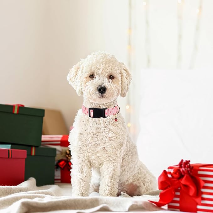 Pink Strawberry Pattern Dog Collar with Buckle Adjustable Safety Nylon Collars for Small Medium Large Dogs, Cute Stylish Girl Boy Christmas Dog Collar(Pink Strawberry,XL)