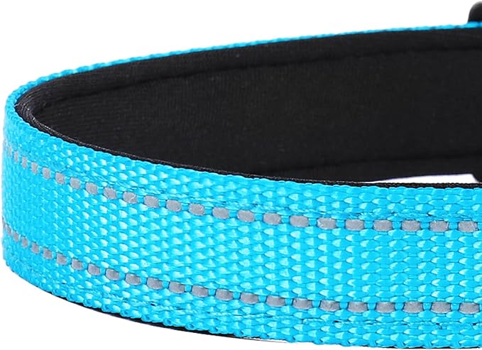 Reflective Dog Collar, Adjustable Soft Neoprene Padded Nylon Pet Collars with Buckle for Extra Large Dogs, Sky Blue,XL