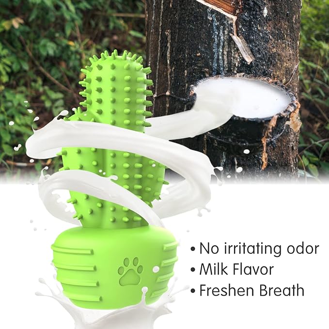 Pamlulu Dog Chew Toys & Teeth Cleaning Brush - Dental for Small, Medium & Large Dogs, Rubber Squeaky Toys for Aggressive Chewers, Cactus Tough Toys