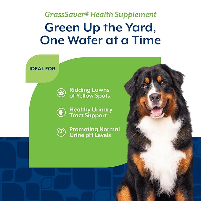 NaturVet – GrassSaver Wafers for Dogs Plus Enzymes – 300 Wafers – Healthy Supplement to Help Rid Your Lawn of Yellow Spots – Synergistic Combination of B-Complex Vitamins & Amino Acids