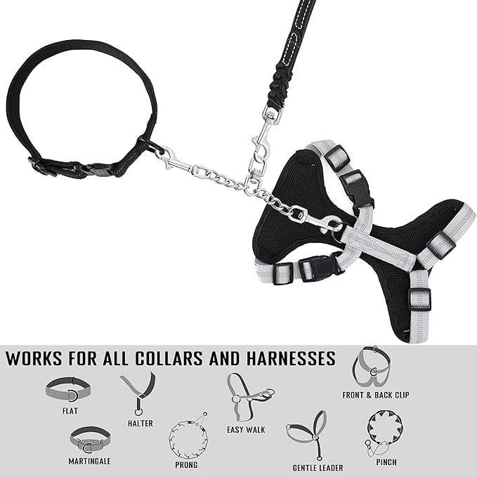 Prong Collar Safety Clip Stainless Steel Dog Safety Clip, Leash Backup with Dual Clasps, Collars and No Pull Harness Connectors