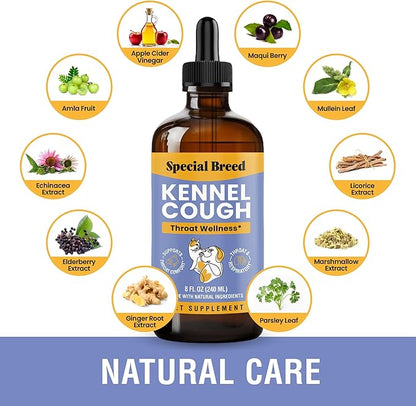 Kennel Cough Support for Dogs & Cats – Helps with Dry, Wet & Barking Cough – Herbal Pet Respiratory & Throat Support, Supports Breathing & Clear Airways – Natural Liquid Supplement – 8oz