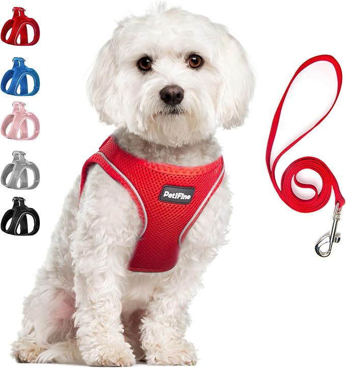 PetiFine Step in Small Dog Harness and Leash Set, Breathable All Weather Air Mesh Reflective Escape Proof, Step-in Vest Harnesses for Puppy(S, Red)