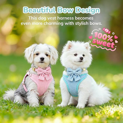 Small Dog Collar Harness and Leash Set, Dog Harness no Pull with Bowtie, Breathable Cotton Adjustable Pet Puppy Harness, Easy Walk Dog Harness, M(16-21")