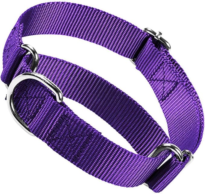 Choker Collar for Dogs, No Pull Martingale Dog Collar Escape Proof Cinch Dog Training Collars Adjustable for Small Medium Large Breed Pet Dogs, Purple M